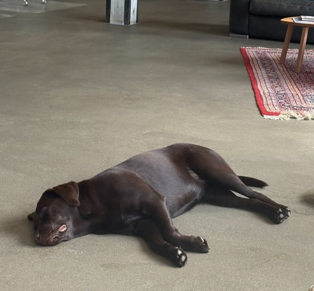 Teddy van de vloer | ROI Online Marketing