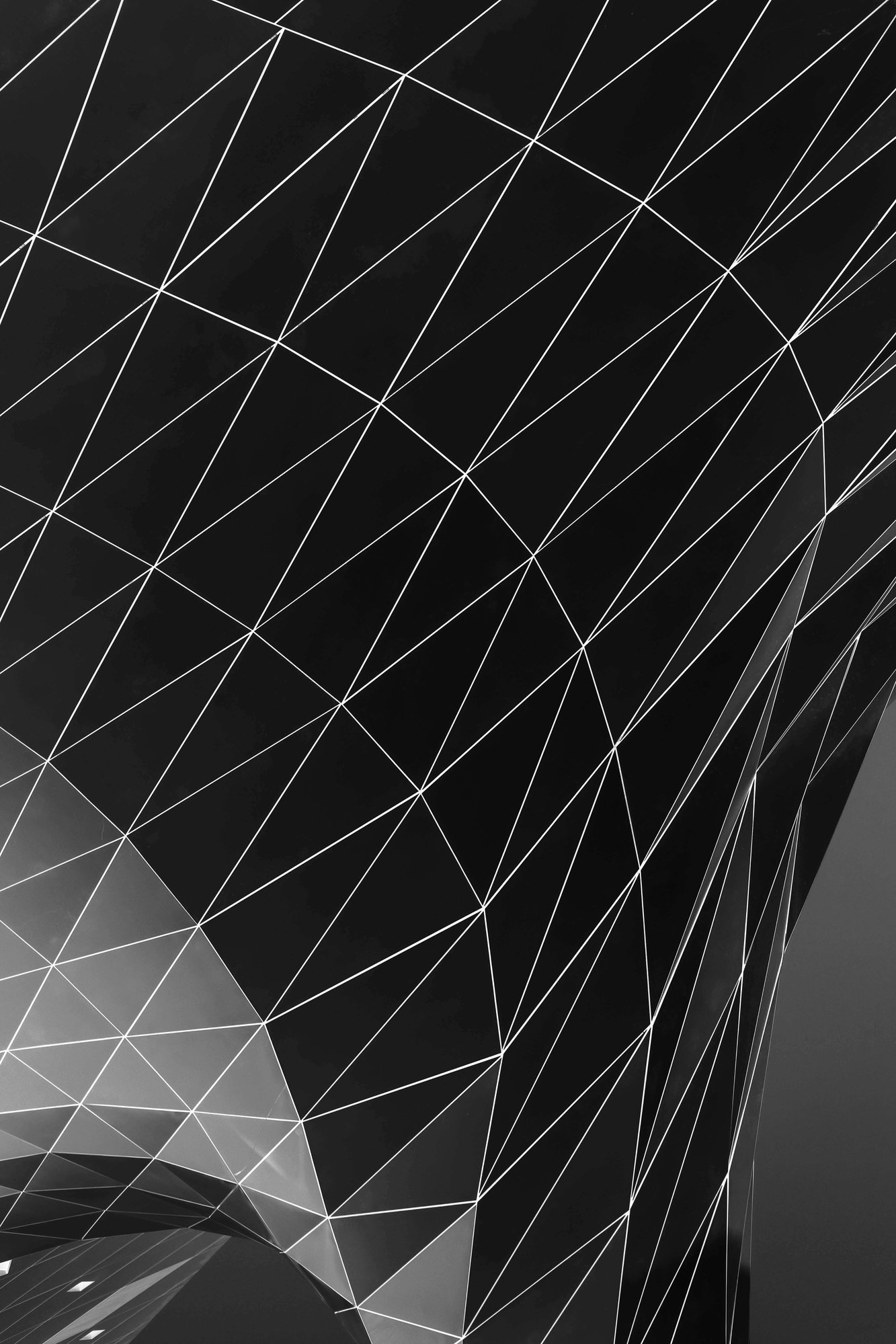 pexels-adrien-olichon-3137064